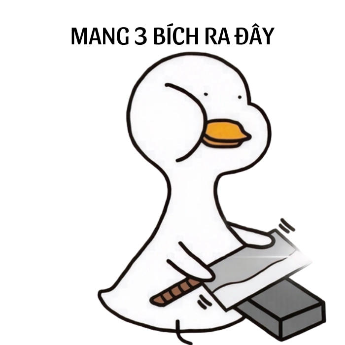 Ảnh 3 bích meme hài