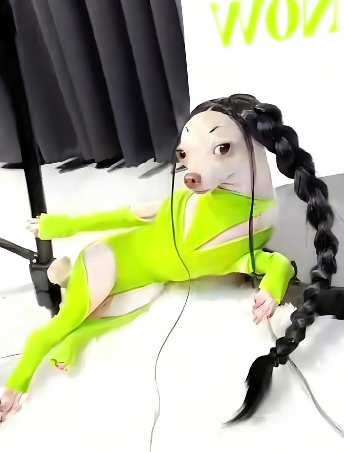 Ảnh hài slay meme
