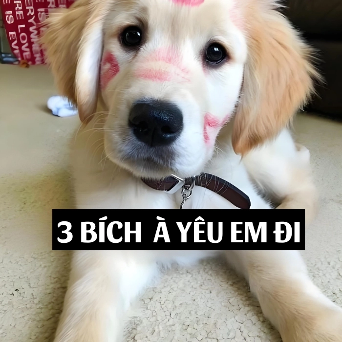 Ảnh meme 3 bích