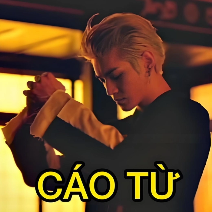 Ảnh meme cáo từ