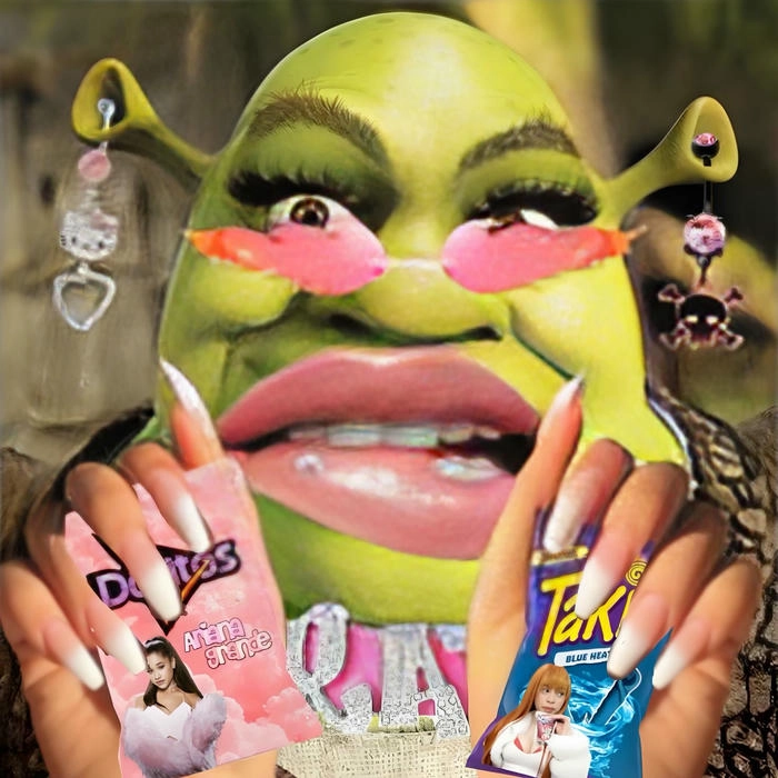 Ảnh slay meme