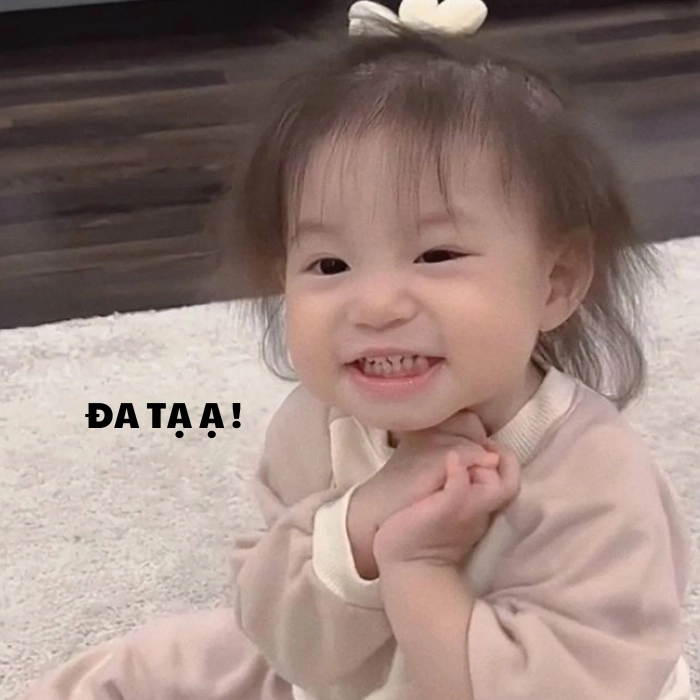 Đa tạ meme biểu cảm hài
