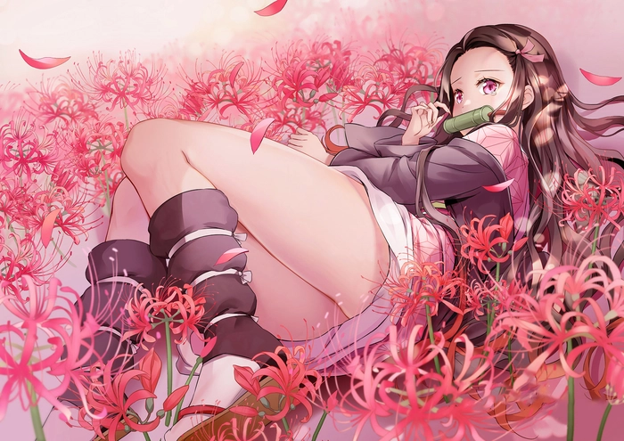 Hình Nezuko cute ngầu