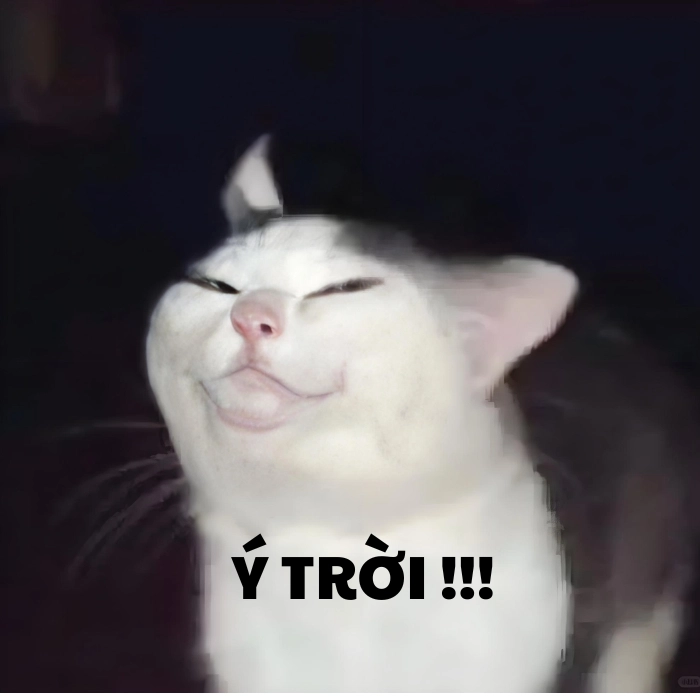 Hình ảnh meme ý trời chán đời