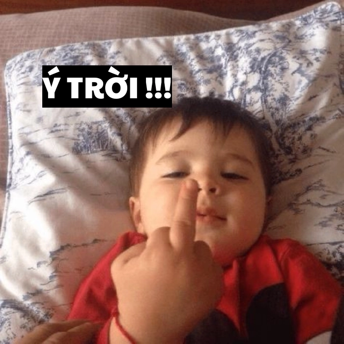 Hình ảnh ý trời chế cười