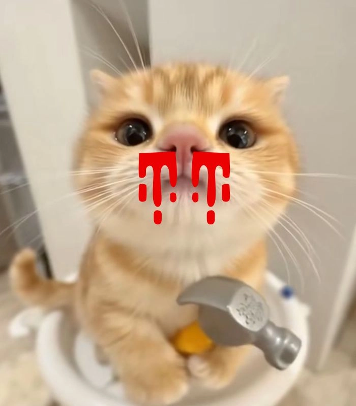 Meme con mèo chảy máu mũi đáng nhớ
