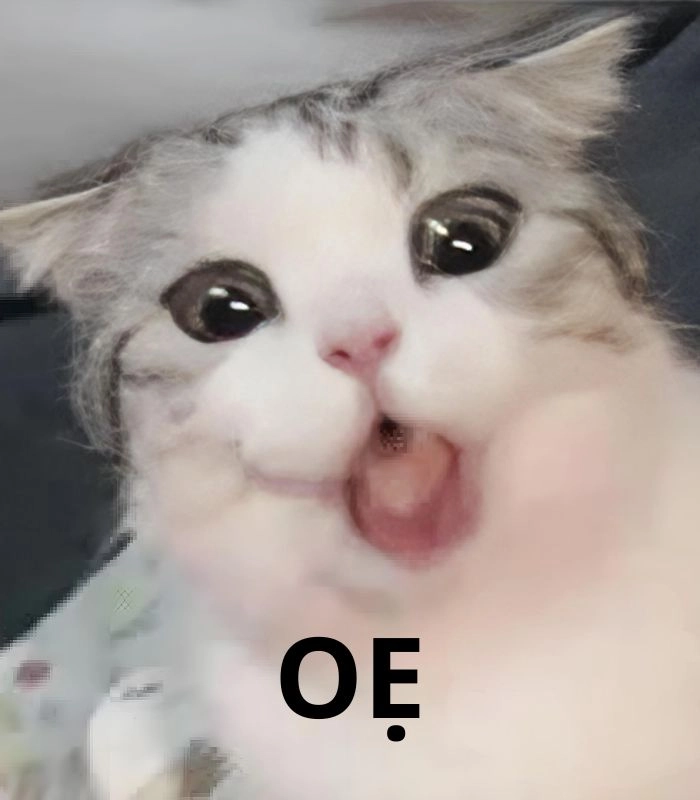 Meme con mèo ói lầy lội