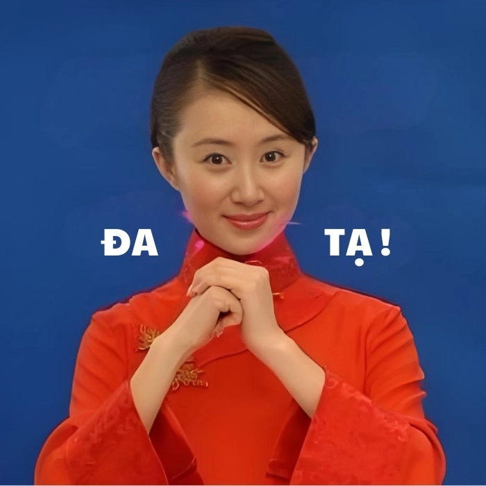 Meme đa tạ Việt hóa
