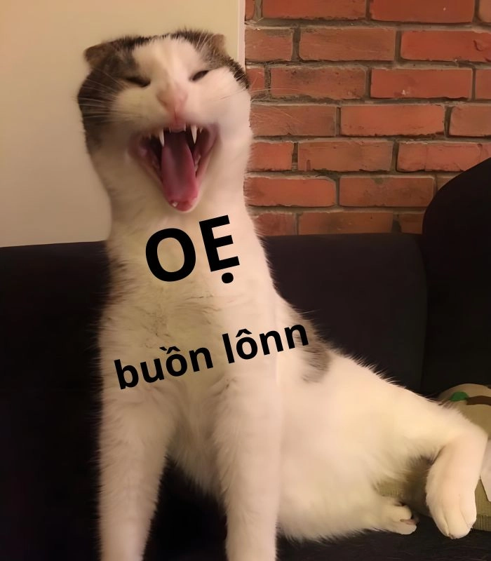 Meme mèo bị ốm