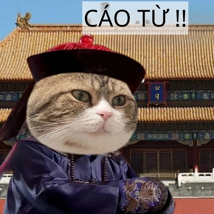 Meme mèo cáo từ buồn cười