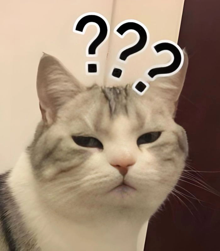 Meme mèo liếc mắt chế
