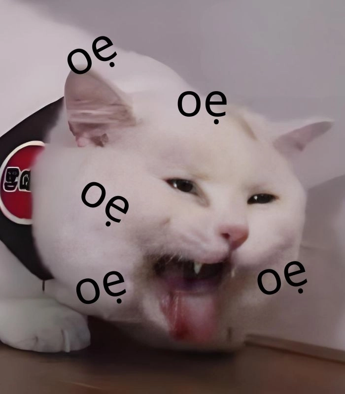 Meme mèo nôn oẹ vì học hành