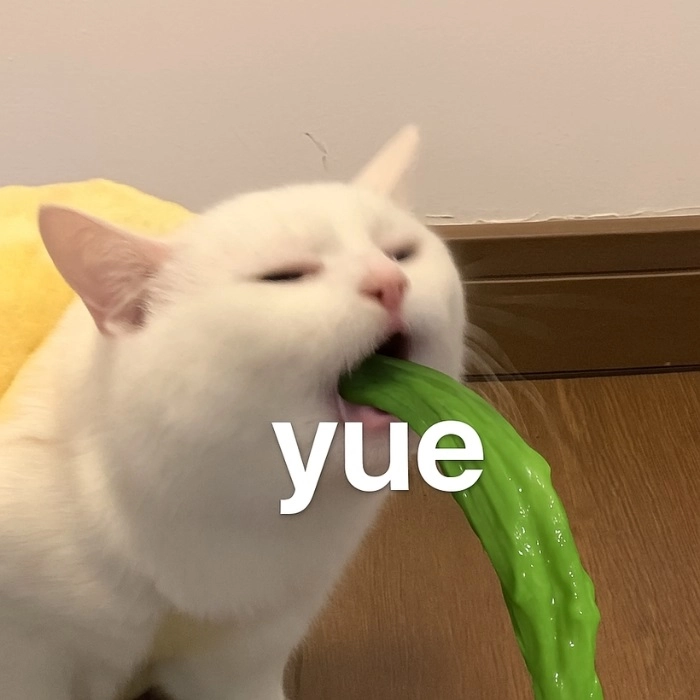 Meme mèo oẹ nhìn bạn thân nói dối