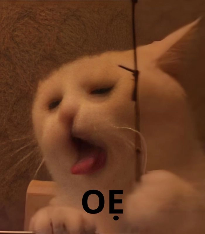 Meme mèo ói vì crush