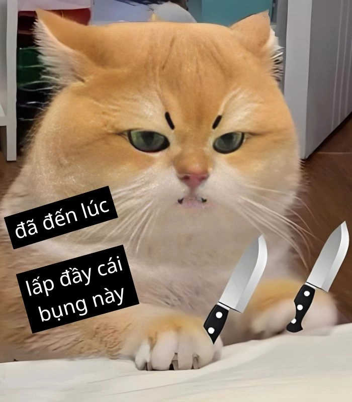 Meme mèo xin ăn ngồi im lặng