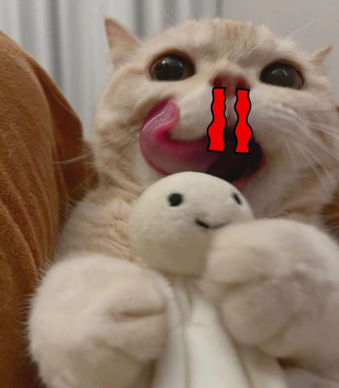 Meme mèo xịt máu mũi siêu lầy
