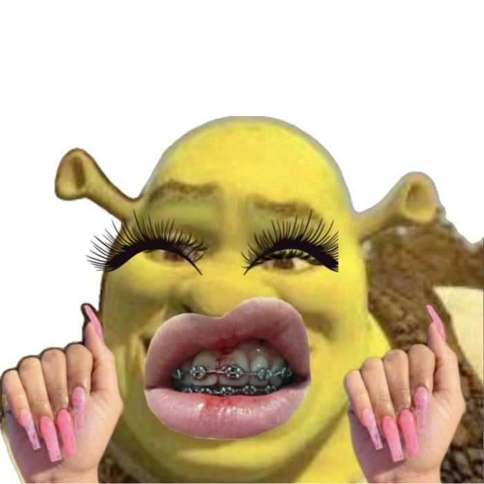 Meme slay vibe chất lừ