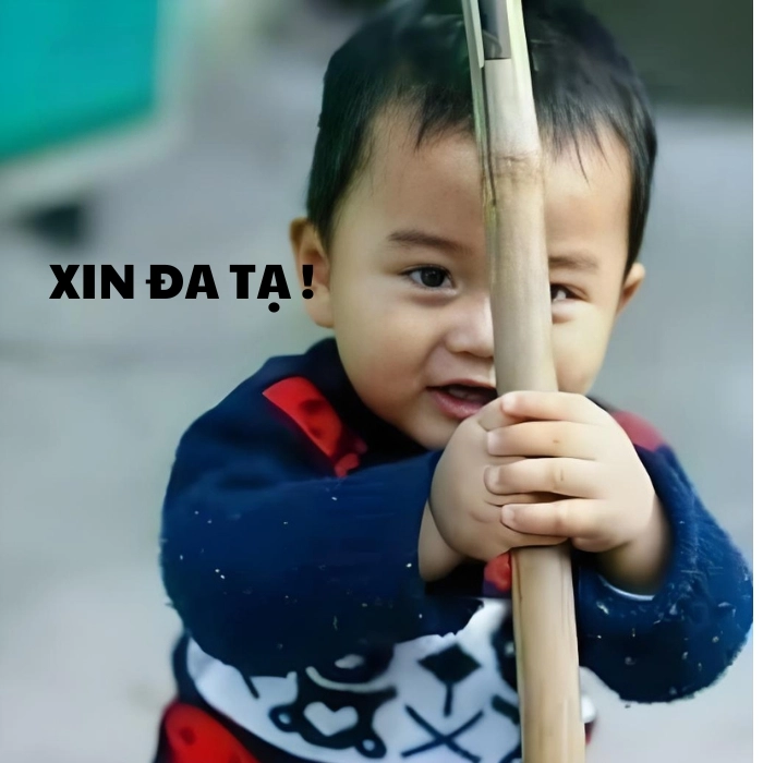 Meme xin đa tạ lầy lội