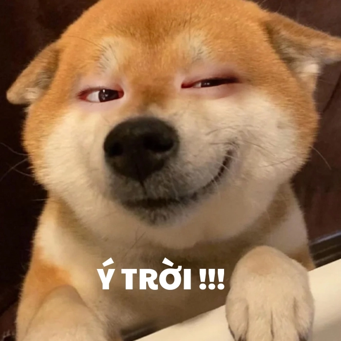 Meme ý trời cực gắt
