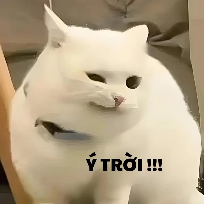 Meme ý trời đã định