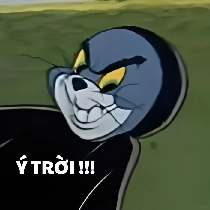 Meme ý trời netizen chế