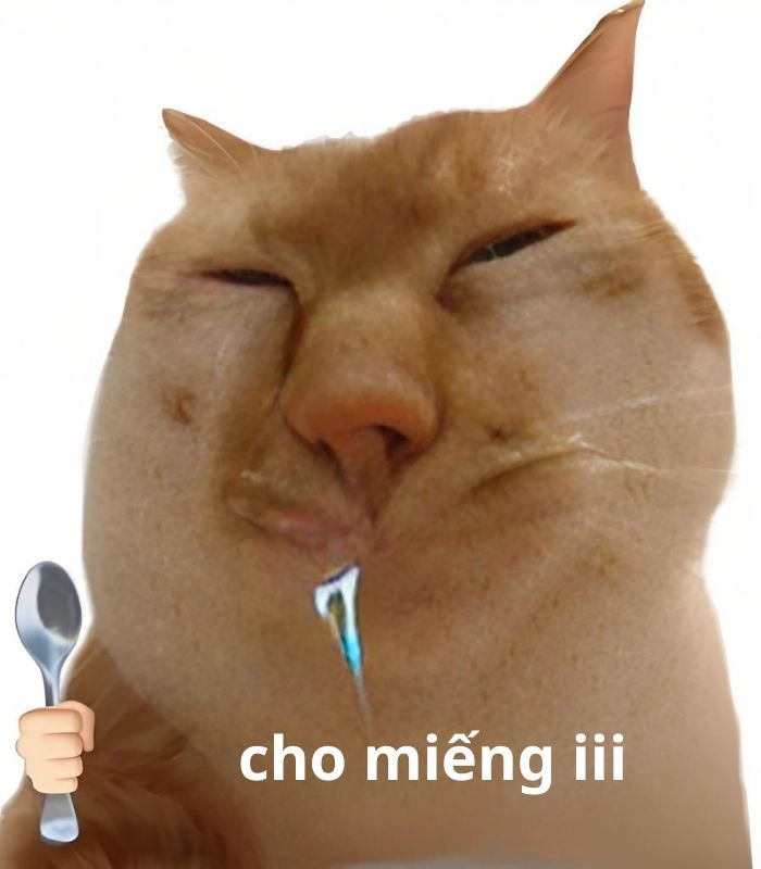 Mèo ăn cơm meme khiến dân mạng cười lăn