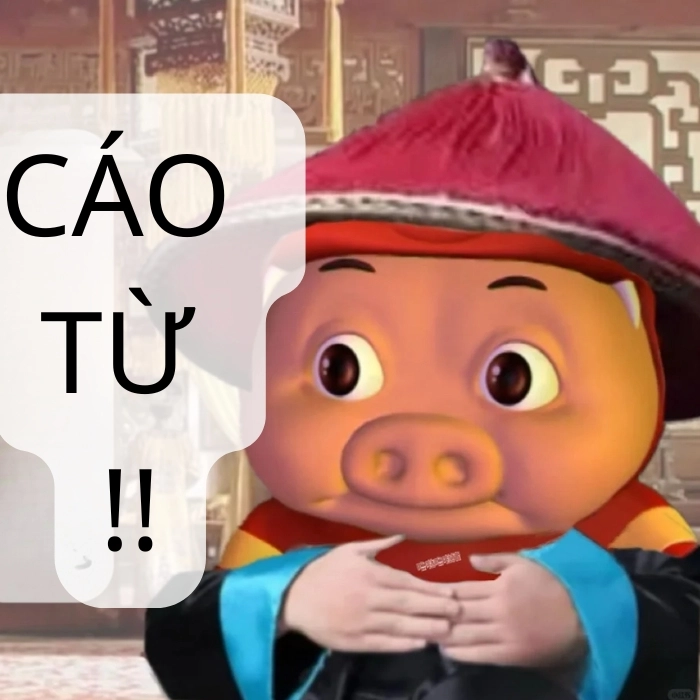 Xin cáo từ meme