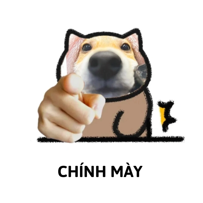ảnh chó shiba meme hài chế
