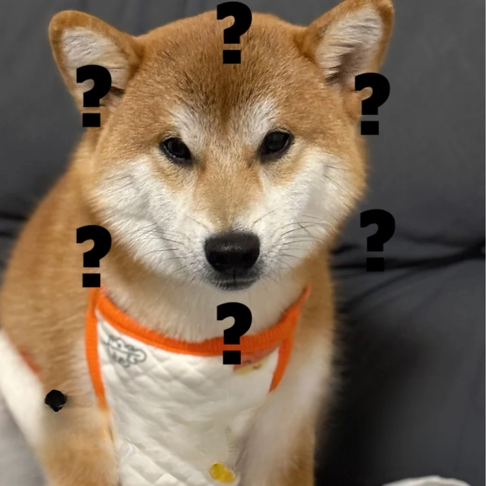 ảnh chó shiba meme