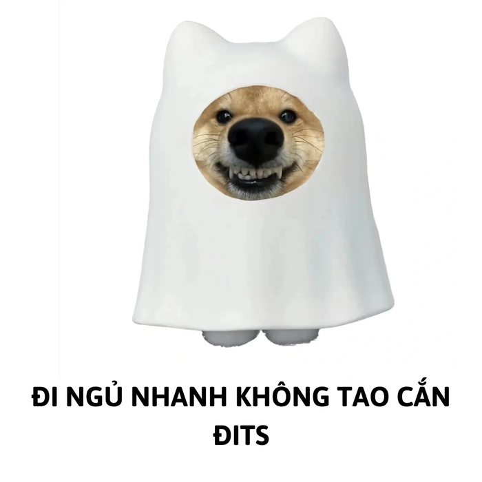 ảnh meme chó shiba chế