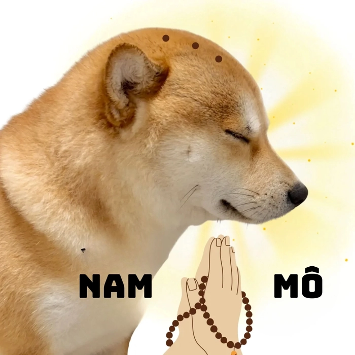 ảnh meme chó shiba