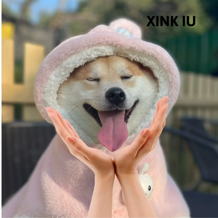 chó shiba meme cute