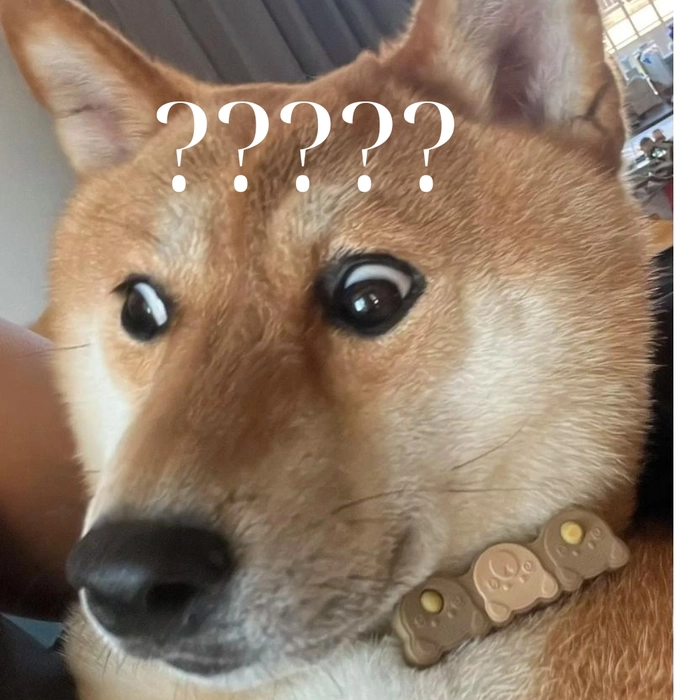 chó shiba meme hoang mang