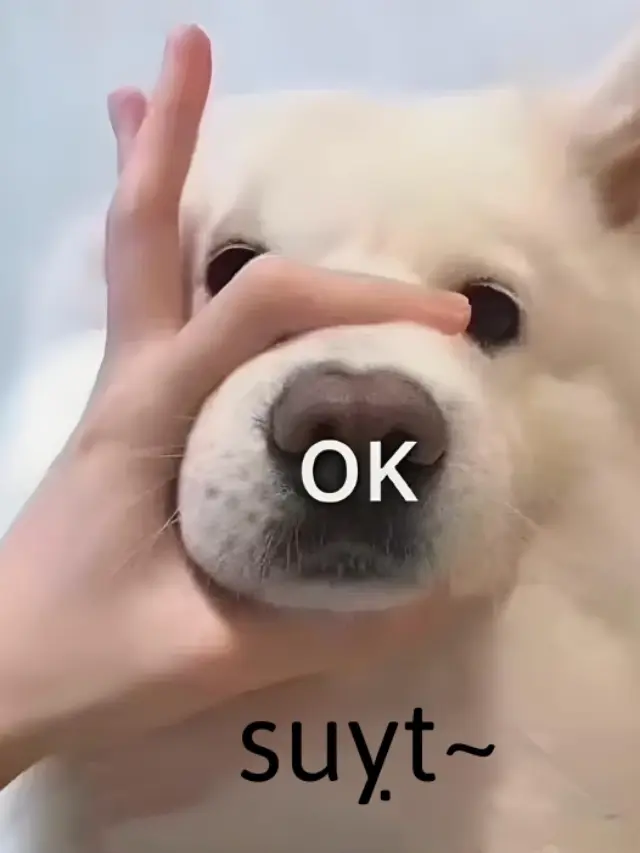 hình ảnh meme suỵt ok
