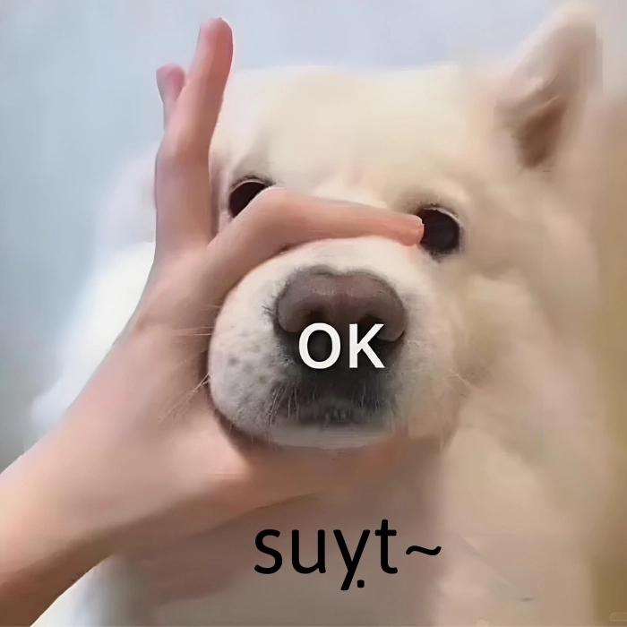 hình ảnh meme suỵt ok