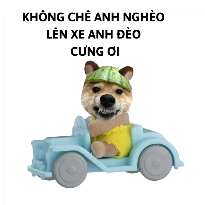 hình meme chó shiba