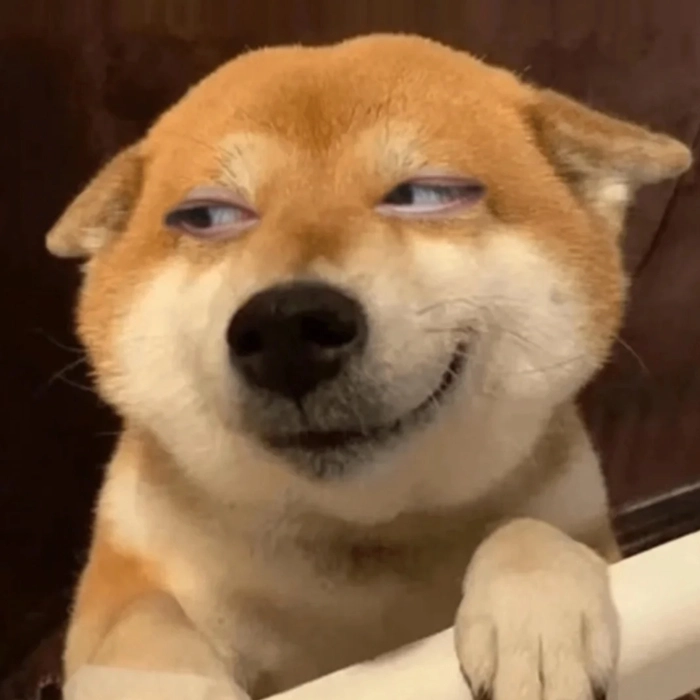 meme chó shiba cười nhếch