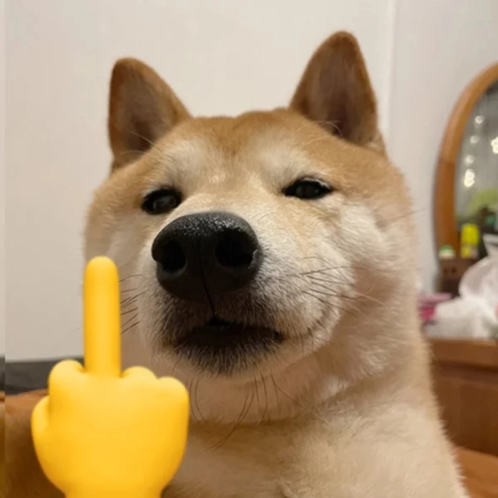 meme chó shiba giơ ngón giữa