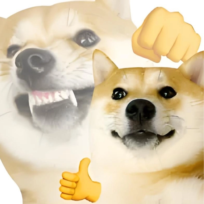meme chó shiba hài hước