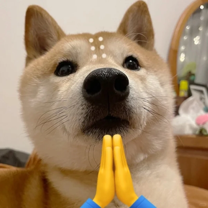 meme chó shiba nam mô