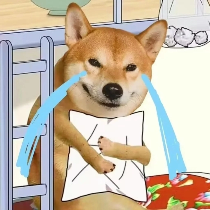 meme chó shiba ôm gối khóc