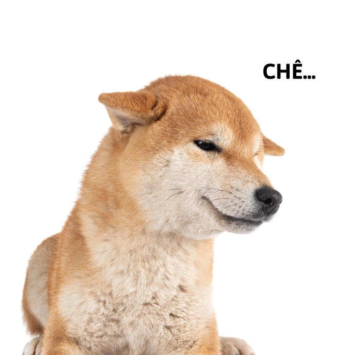 meme chó shiba