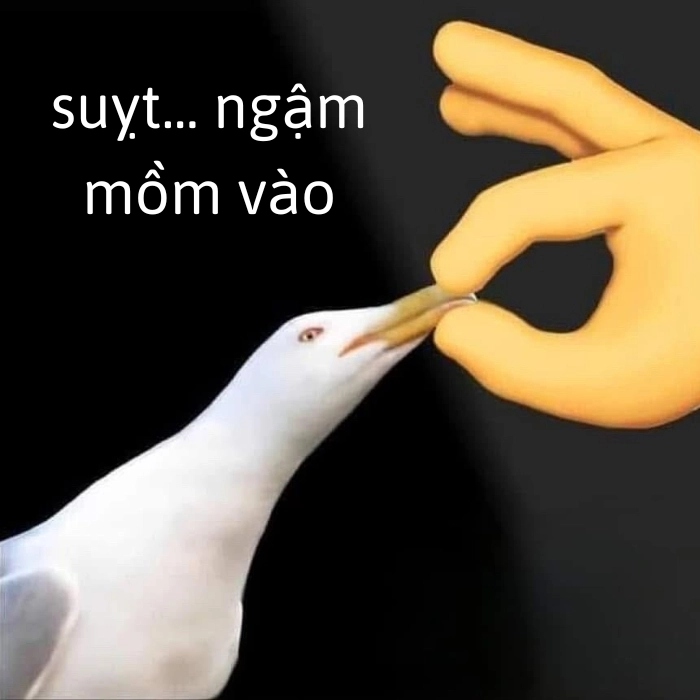 meme suỵt ngậm mồm