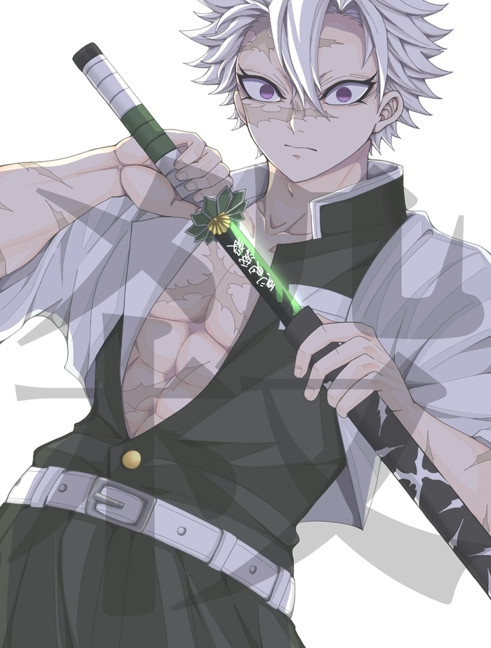 Ảnh Shinazugawa Sanemi cực ngầu