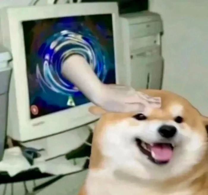 Ảnh chế đánh chó meme
