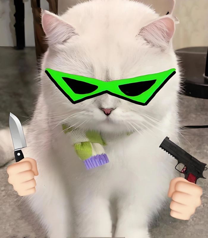Ảnh chế meme mèo cầm súng