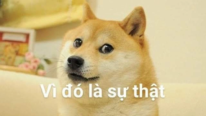 Ảnh chó Cheems meme