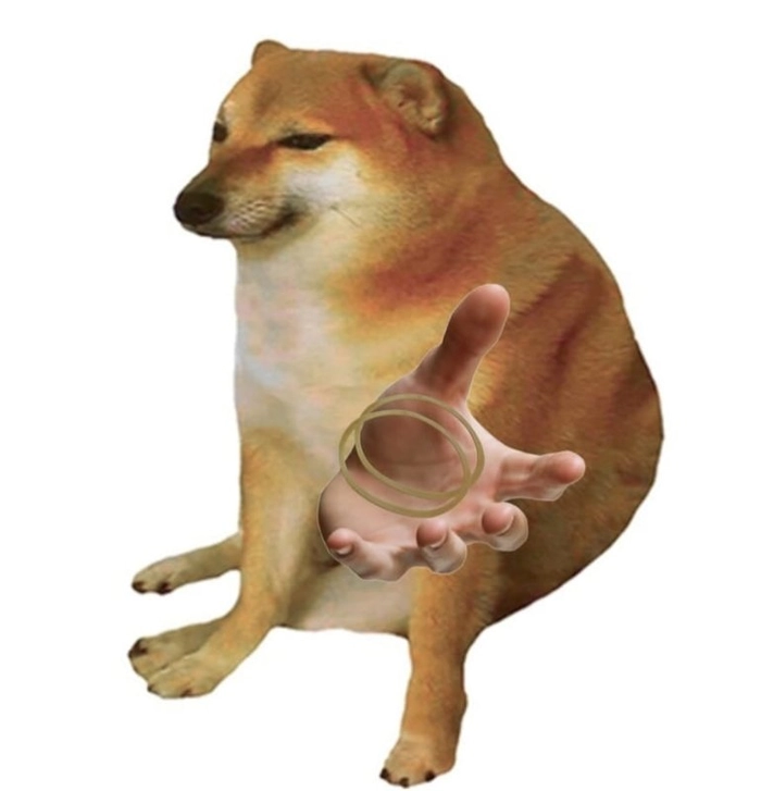 Ảnh chó hài meme còn cái nịt