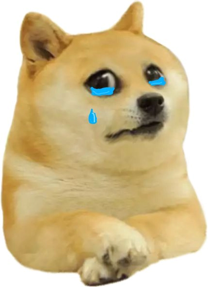Ảnh chó khóc meme buồn cười
