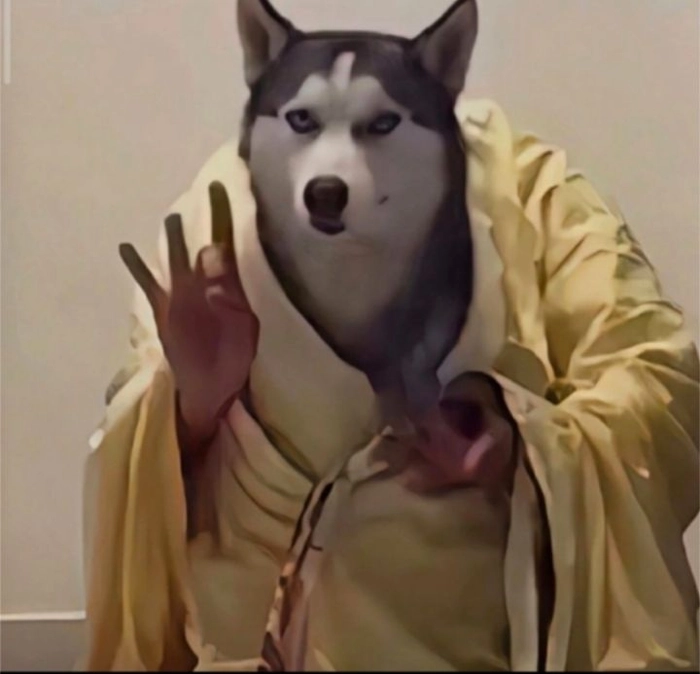 Ảnh chó meme vô tri để đời